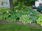 Enlarge photo 10