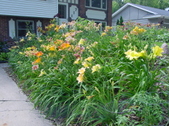 Enlarge photo 155