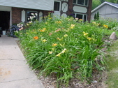 Enlarge photo 41