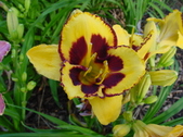 Enlarge photo 95