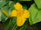 Enlarge photo 73