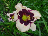 Enlarge photo 27
