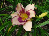 Enlarge photo 140