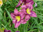 Enlarge photo 143
