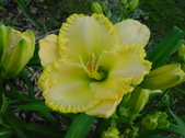 Enlarge photo 37