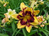 Enlarge photo 147