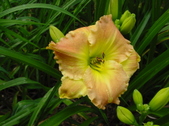 Enlarge photo 29