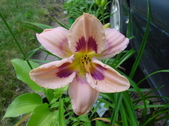 Enlarge photo 4