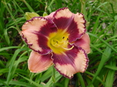 Enlarge photo 6