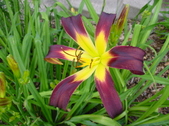 Enlarge photo 32