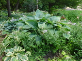 Enlarge photo 121