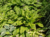 Enlarge photo 57