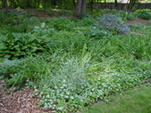 Enlarge photo 16