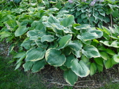Enlarge photo 124