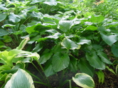 Enlarge photo 125