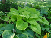 Enlarge photo 58