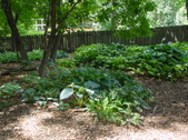Enlarge photo 167