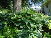 Enlarge photo 59