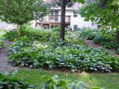 Enlarge photo 20