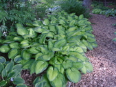 Enlarge photo 2