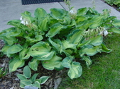 Enlarge photo 134
