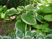 Enlarge photo 135