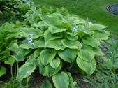 Enlarge photo 145