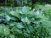 Enlarge photo 147