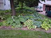 Enlarge photo 130