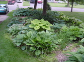 Enlarge photo 131