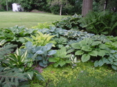 Enlarge photo 132