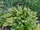 Enlarge photo 110