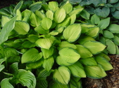 Enlarge photo 87