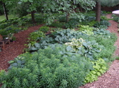 Enlarge photo 142