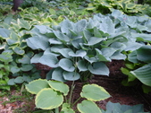 Enlarge photo 32