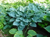 Enlarge photo 56