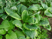 Enlarge photo 84