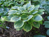 Enlarge photo 57