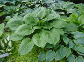 Enlarge photo 37