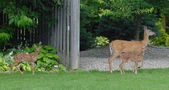 Enlarge photo 209