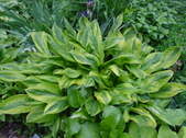 Enlarge photo 41