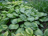 Enlarge photo 111