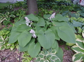 Enlarge photo 116