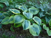 Enlarge photo 68