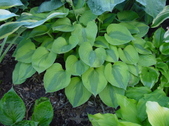Enlarge photo 170