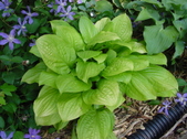 Enlarge photo 104