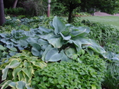 Enlarge photo 110