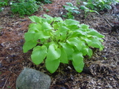 Enlarge photo 116