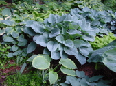 Enlarge photo 105