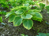 Enlarge photo 27